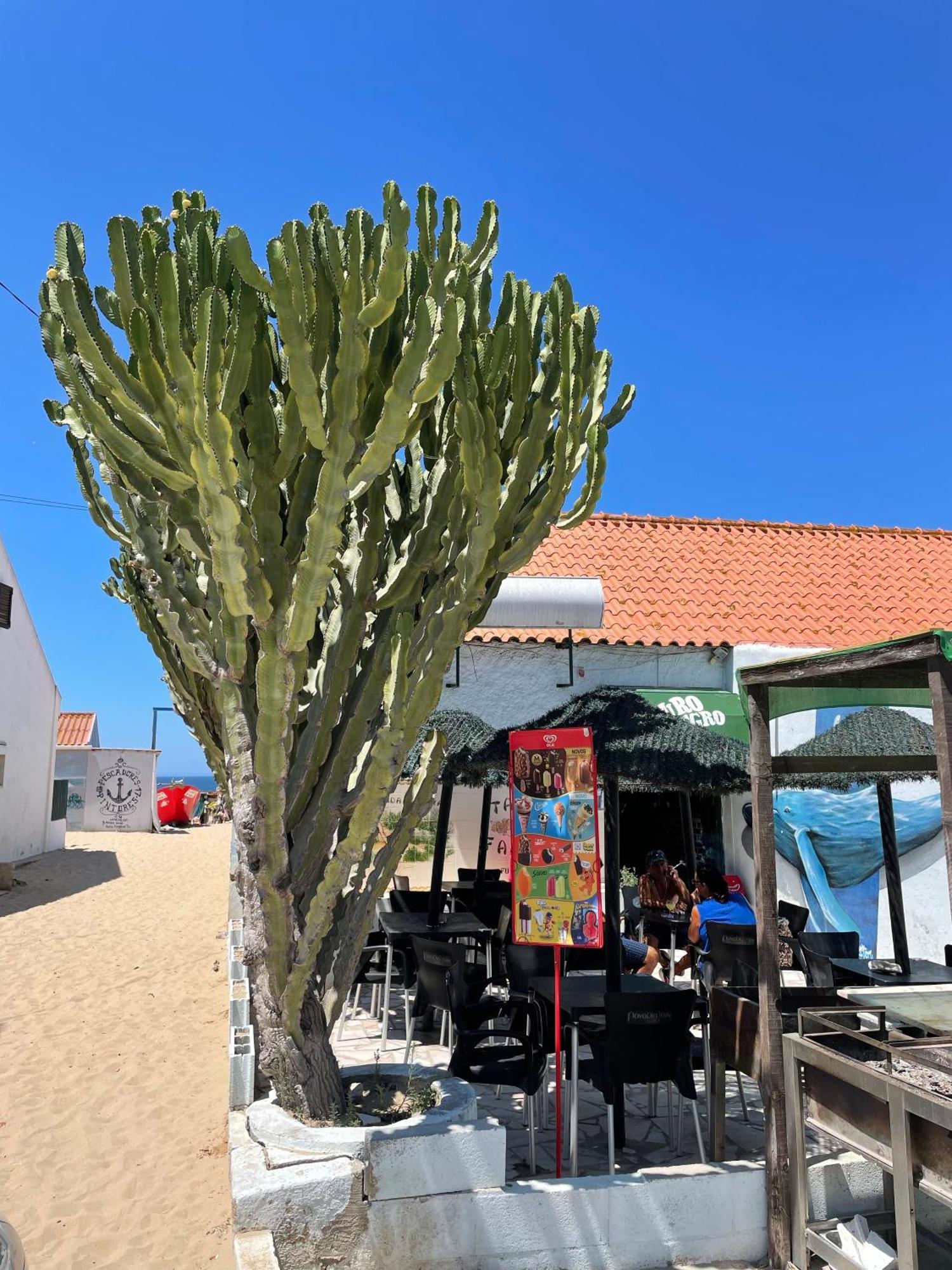 Sea View & Sundown, 150M From The Beach And Surf Spots コスタ・ダ・カパリカ エクステリア 写真